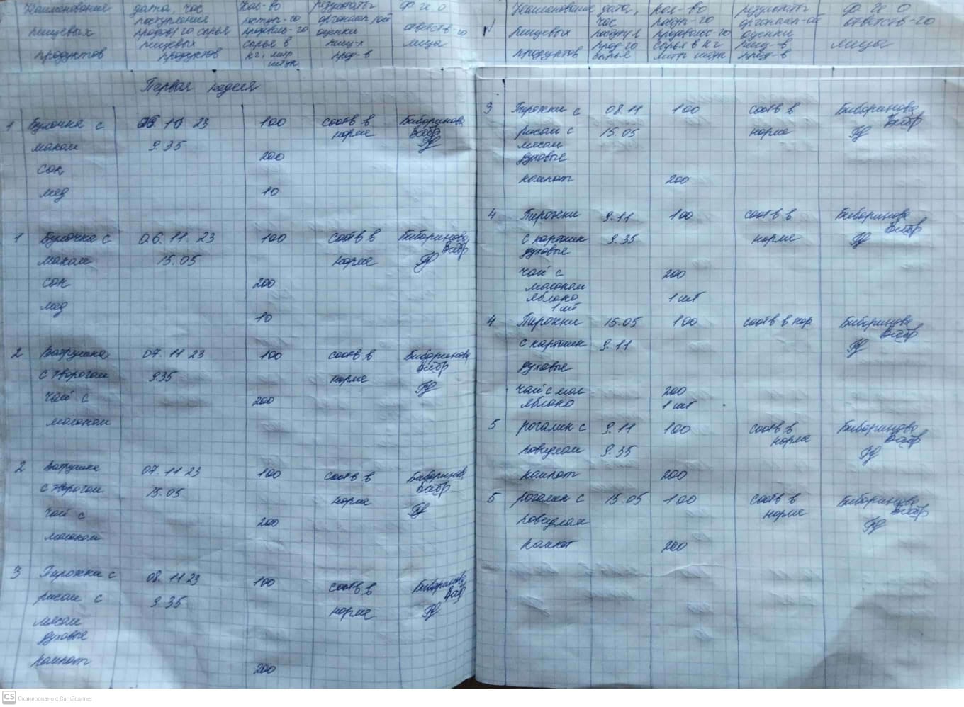 Первая неделя (ноябрь)